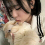 ヒメ日記 2026/04/08 17:12 投稿 こはく MOMO(モモ)