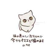 こはく 今日17:00- 口開け予約お得 MOMO(モモ)