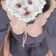 ヒメ日記 2025/04/26 19:19 投稿 みう オトナ女子倶楽部