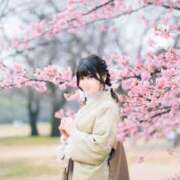 ヒメ日記 2025/04/07 14:22 投稿 なぎさ 女帝