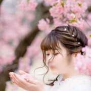 ヒメ日記 2026/03/16 07:42 投稿 なぎさ 女帝