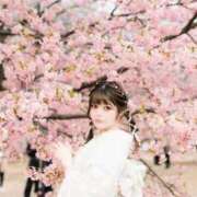 ヒメ日記 2026/04/01 09:12 投稿 なぎさ 女帝