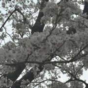 ヒメ日記 2025/04/05 21:08 投稿 かな　☆可愛すぎる超爆乳娘☆ PREMIUM～プレミアム～