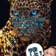 ヒメ日記 2025/07/03 22:29 投稿 ふじこ 佐賀人妻デリヘル 「デリ夫人」