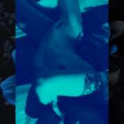 ヒメ日記 2026/01/06 12:13 投稿 ふじこ 佐賀人妻デリヘル 「デリ夫人」