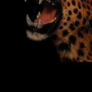 ヒメ日記 2026/03/27 09:38 投稿 ふじこ 佐賀人妻デリヘル 「デリ夫人」