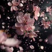 ヒメ日記 2026/04/15 22:25 投稿 ふじこ 佐賀人妻デリヘル 「デリ夫人」