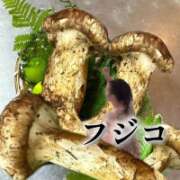 ヒメ日記 2026/09/28 20:46 投稿 ふじこ 佐賀人妻デリヘル 「デリ夫人」