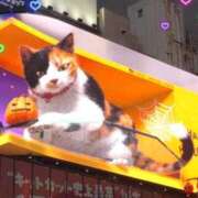 ヒメ日記 2025/10/26 09:01 投稿 西川【にしかわ】 丸妻 西船橋店