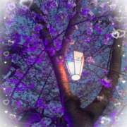 ヒメ日記 2026/04/05 10:29 投稿 西川【にしかわ】 丸妻 西船橋店