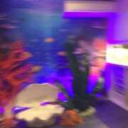 ヒメ日記 2025/04/27 05:05 投稿 三浦（みうら） 熟女の風俗最終章 大宮店