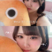 ヒメ日記 2025/06/30 19:00 投稿 みか パイの巣