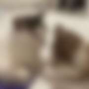 ヒメ日記 2025/08/29 20:48 投稿 みか パイの巣