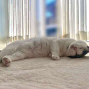 ヒメ日記 2025/10/26 19:17 投稿 みか パイの巣