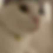 ヒメ日記 2025/10/30 18:36 投稿 みか パイの巣