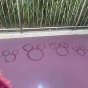 ヒメ日記 2025/11/21 18:49 投稿 みか パイの巣