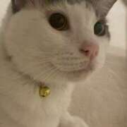 ヒメ日記 2025/11/22 19:30 投稿 みか パイの巣