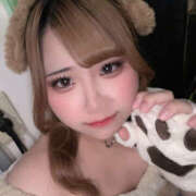 ヒメ日記 2025/11/25 17:42 投稿 みか パイの巣