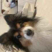 ヒメ日記 2025/11/28 18:40 投稿 みか パイの巣