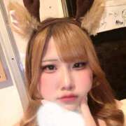 ヒメ日記 2025/12/07 16:34 投稿 みか パイの巣