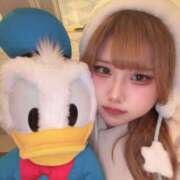 ヒメ日記 2025/12/13 16:55 投稿 みか パイの巣