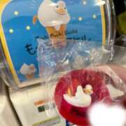 ヒメ日記 2025/12/28 17:52 投稿 みか パイの巣