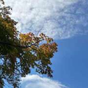 ヒメ日記 2025/09/30 18:43 投稿 アリス シャングリラ