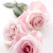 ヒメ日記 2025/04/04 22:14 投稿 真希 浜松人妻援護会