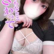 ヒメ日記 2025/08/27 17:15 投稿 ふわり ドキドキＮＴＲ寝取られ生電話