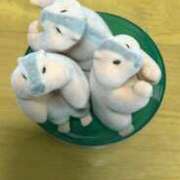 ヒメ日記 2025/10/28 13:55 投稿 あかね ナチュラルプリンセス