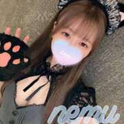 ヒメ日記 2025/04/10 12:01 投稿 ネム マテリアル