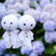 ヒメ日記 2025/05/31 09:16 投稿 ネム マテリアル