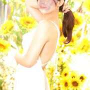 ヒメ日記 2025/08/20 16:30 投稿 Mihane THE PREMIUM （プレミアム）