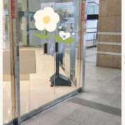 ヒメ日記 2026/02/15 09:27 投稿 椛 浜松人妻援護会