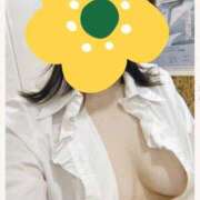 ヒメ日記 2026/04/29 09:40 投稿 椛【白ゆりコース】 浜松人妻援護会