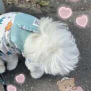 ヒメ日記 2025/05/18 08:41 投稿 蘭◇らん 人妻吐息