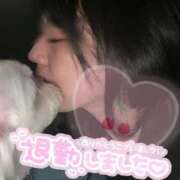 ヒメ日記 2025/05/22 00:51 投稿 蘭◇らん 人妻吐息