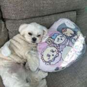 ヒメ日記 2025/07/13 17:51 投稿 蘭◇らん 人妻吐息