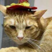 ヒメ日記 2025/09/09 17:51 投稿 蘭◇らん 人妻吐息