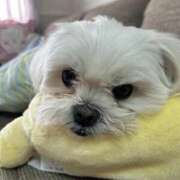 ヒメ日記 2025/09/13 14:41 投稿 蘭◇らん 人妻吐息