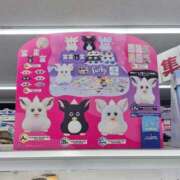 ヒメ日記 2025/10/27 21:04 投稿 蘭◇らん 人妻吐息