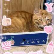 蘭◇らん 拾ってください‥‥❤︎ 人妻吐息