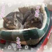 ヒメ日記 2026/01/09 19:02 投稿 蘭◇らん 人妻吐息