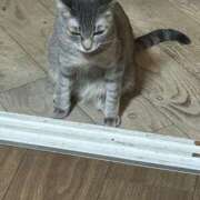 ヒメ日記 2026/03/22 20:06 投稿 蘭◇らん 人妻吐息