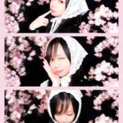 ヒメ日記 2026/03/26 13:22 投稿 蘭◇らん 人妻吐息