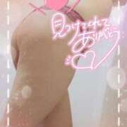 ヒメ日記 2025/04/07 15:23 投稿 まりな ぷるるん小町日本橋店