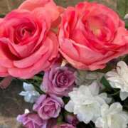 りせ りせ！本当はSだよな、と言われました🥰 西船人妻花壇