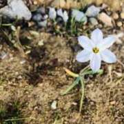 ヒメ日記 2025/04/05 06:05 投稿 みと 出会い系人妻ネットワーク さいたま～大宮編