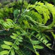 ヒメ日記 2025/04/11 20:25 投稿 みと 出会い系人妻ネットワーク さいたま～大宮編