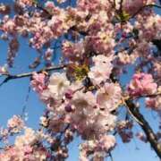 ヒメ日記 2025/04/12 20:05 投稿 みと 出会い系人妻ネットワーク さいたま～大宮編